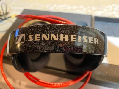 Sennheiser HD 600 - miniatura 1